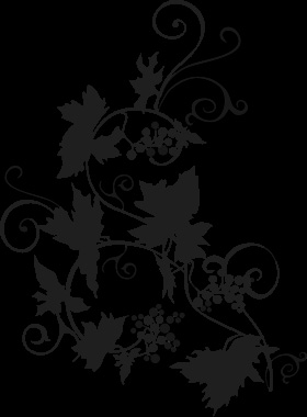Rockford Illinois web graphic design illustration